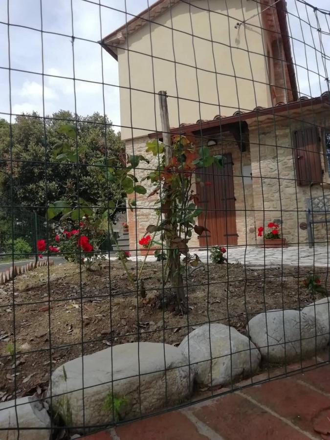 La Casetta Della Letizia Colle  Luaran gambar